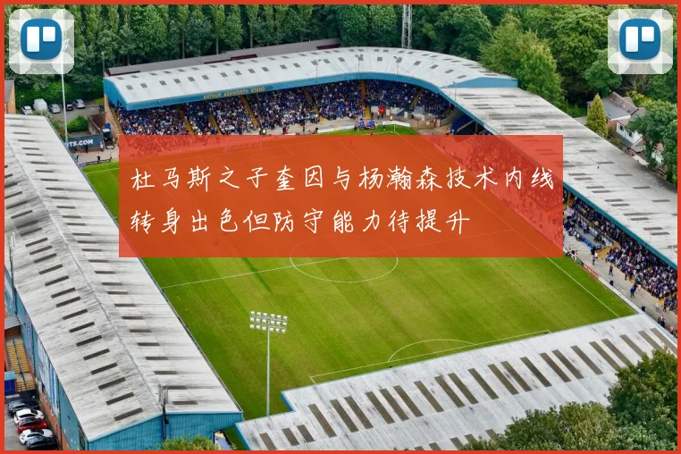 杜马斯之子奎因与杨瀚森技术内线转身出色但防守能力待提升
