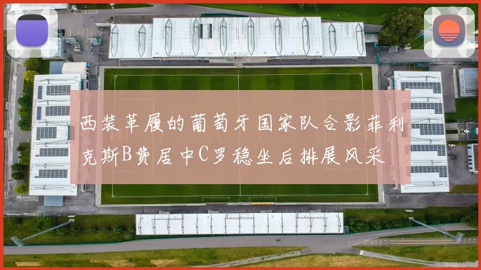 西装革履的葡萄牙国家队合影菲利克斯B费居中C罗稳坐后排展风采